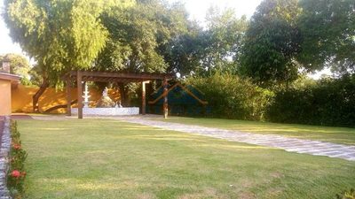 Chácara, 1 quarto, 6500 m² - Foto 5
