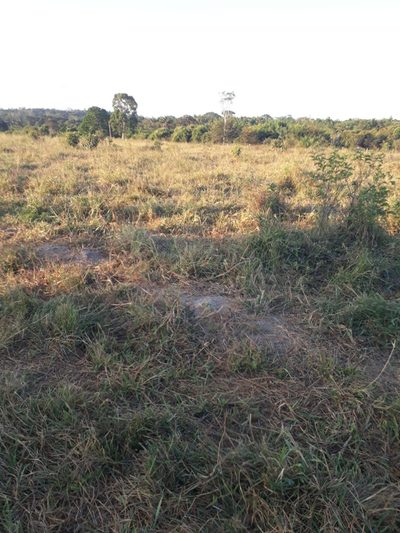 Fazenda, 273 m² - Foto 5