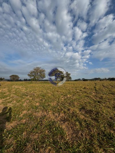Chácara, 2 hectares - Foto 4