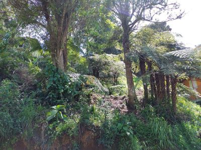 Terreno, 312 m² - Foto 4