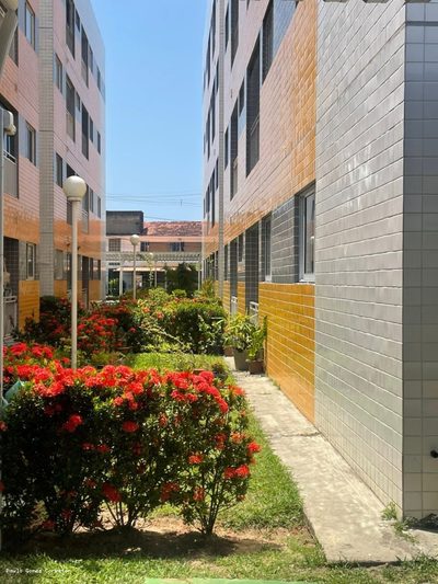 Apartamento, 3 quartos, 60 m² - Foto 2