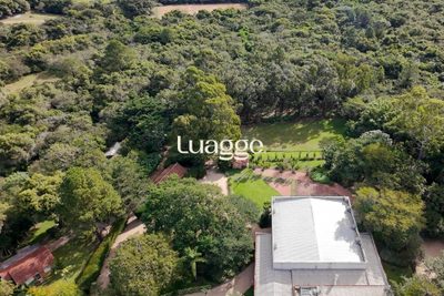 Sítio, 2 hectares - Foto 4