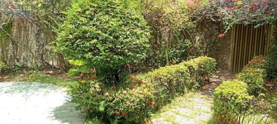 Terreno, 475 m² - Foto 3