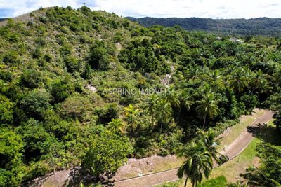 Terreno, 4374 m² - Foto 3
