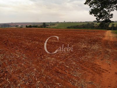 Terreno, 4 m² - Foto 3