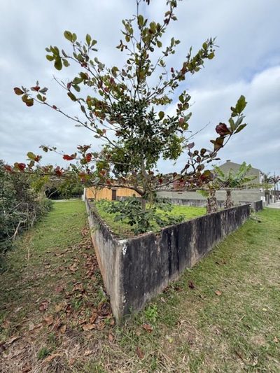 Terreno, 231 m² - Foto 5