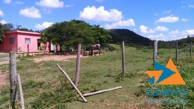 Terreno, 10 hectares - Foto 4
