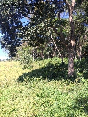 Terreno, 3 hectares - Foto 3