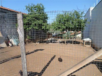 Terreno, 250 m² - Foto 1