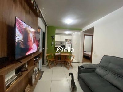 Apartamento, 2 quartos, 43 m² - Foto 3
