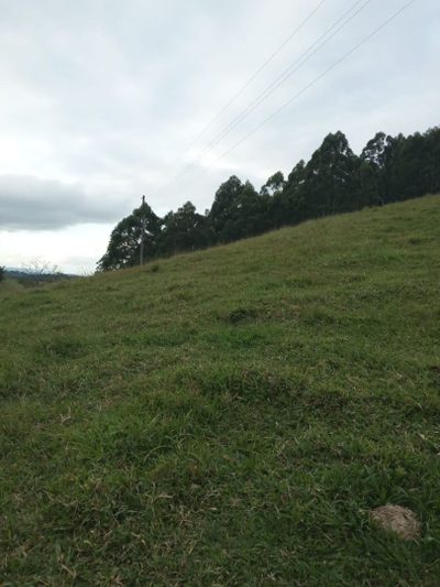 Sítio, 4 quartos, 300 m² - Foto 4