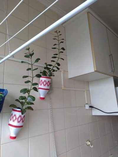 Apartamento, 3 quartos, 60 m² - Foto 1