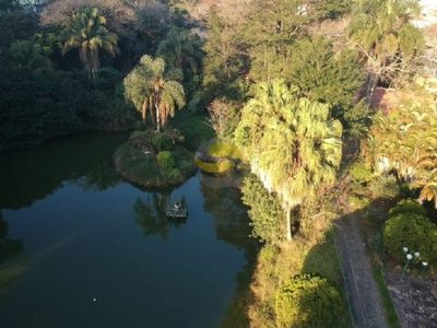 Terreno, 3 hectares - Foto 4