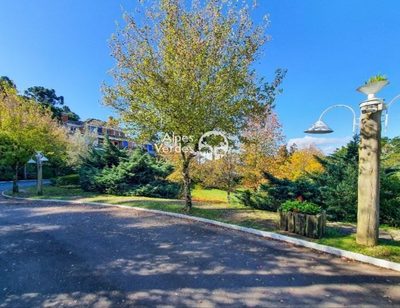 Terreno, 822 m² - Foto 4