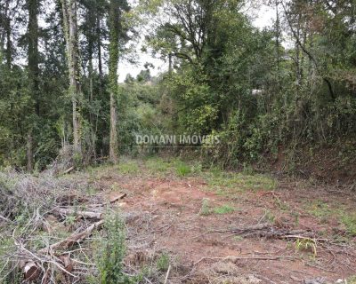 Terreno, 1100 m² - Foto 4