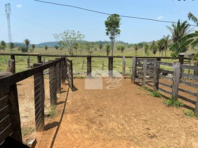 Fazenda, 242 hectares - Foto 4