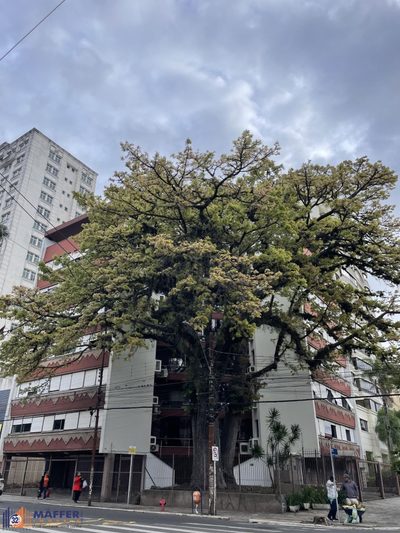 Apartamento, 3 quartos, 143 m² - Foto 1