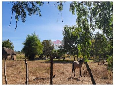 Fazenda, 109 m² - Foto 4