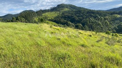Terreno, 9 hectares - Foto 3