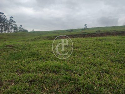 Terreno, 20 hectares - Foto 3