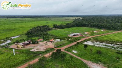 Terreno, 10000 m² - Foto 3
