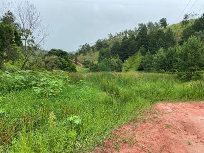 Terreno, 7 hectares - Foto 1
