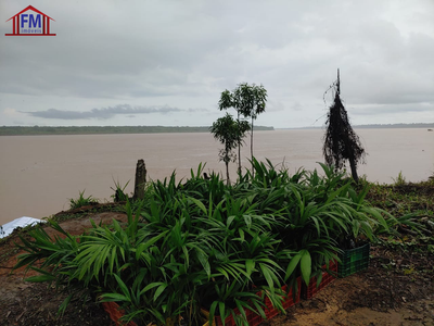 Fazenda - Foto 2