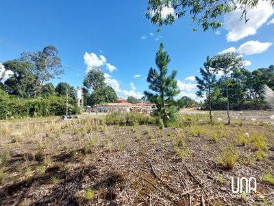 Terreno, 565 m² - Foto 3