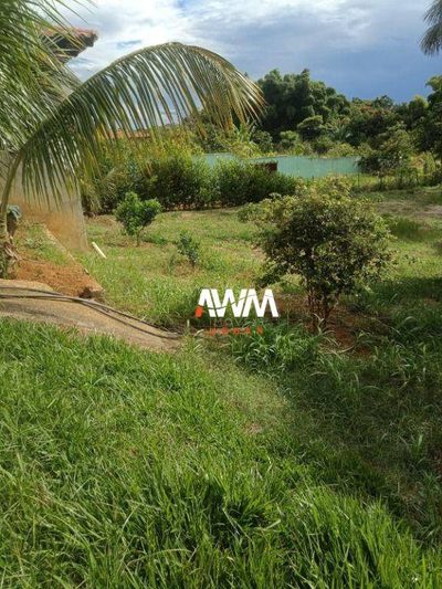 Chácara, 3 quartos, 3 hectares - Foto 3