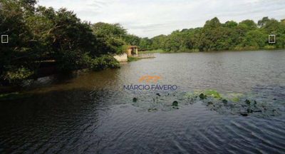 Fazenda, 230 hectares - Foto 1