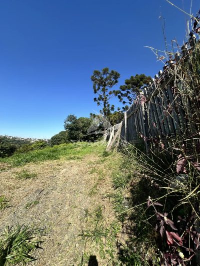 Terreno, 2320 m² - Foto 5
