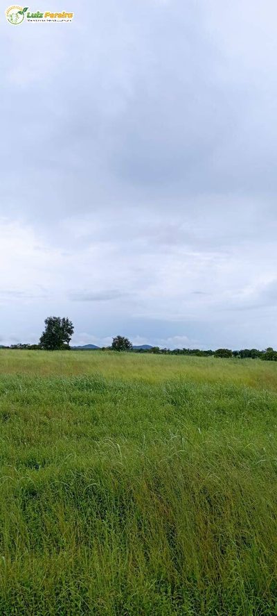Terreno, 1423 m² - Foto 4