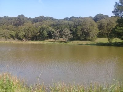 Terreno, 12 hectares - Foto 1