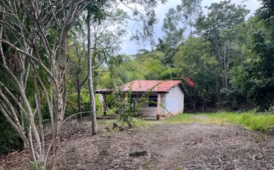 Casa, 4 quartos, 5000 m² - Foto 2