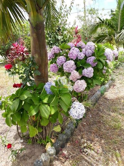 Terreno, 989 m² - Foto 2