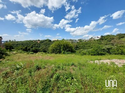 Terreno, 8206 m² - Foto 3