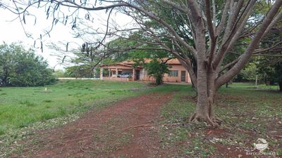 Chácara, 2 hectares - Foto 3