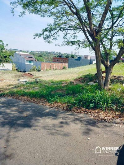 Terreno, 436 m² - Foto 3