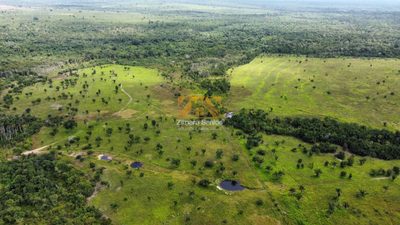 Sítio, 3 quartos, 1450 hectares - Foto 4