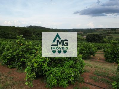 Fazenda, 150 m² - Foto 5