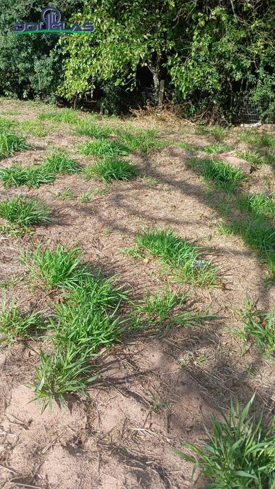 Terreno, 300 m² - Foto 5