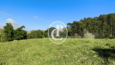 Sítio, 3 quartos, 200 m² - Foto 4