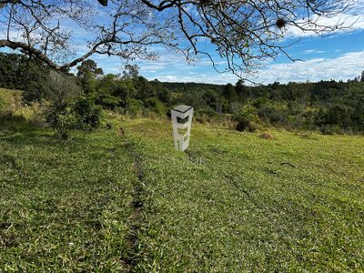 Sítio - Foto 5