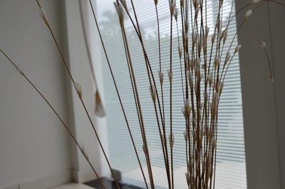 Casa, 3 quartos, 388 m² - Foto 2