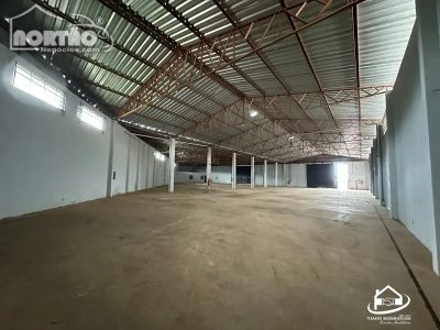 Casa, 3 quartos, 1177 m² - Foto 4