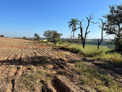 Terreno, 18 hectares - Foto 4
