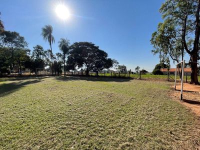 Chácara, 2 quartos, 2 hectares - Foto 5