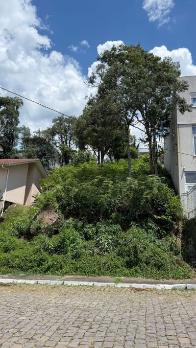 Terreno, 483 hectares - Foto 4
