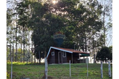 Fazenda, 12 hectares - Foto 3