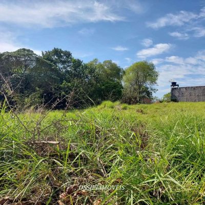 Terreno, 1000 m² - Foto 3